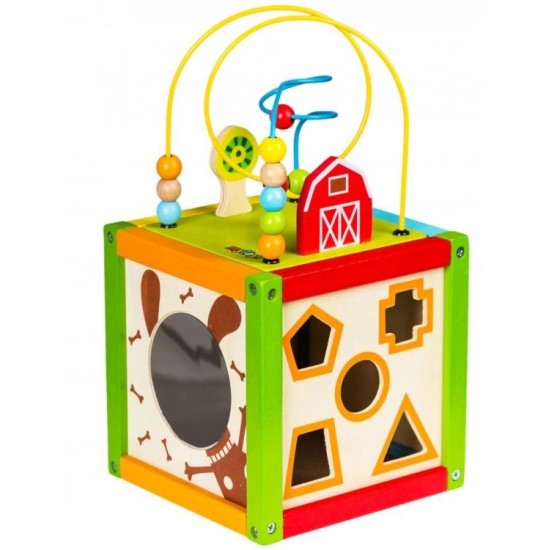 Ergoterapinis medinis lavinamasis kubas - labirintas ECO TOYS 5*1
